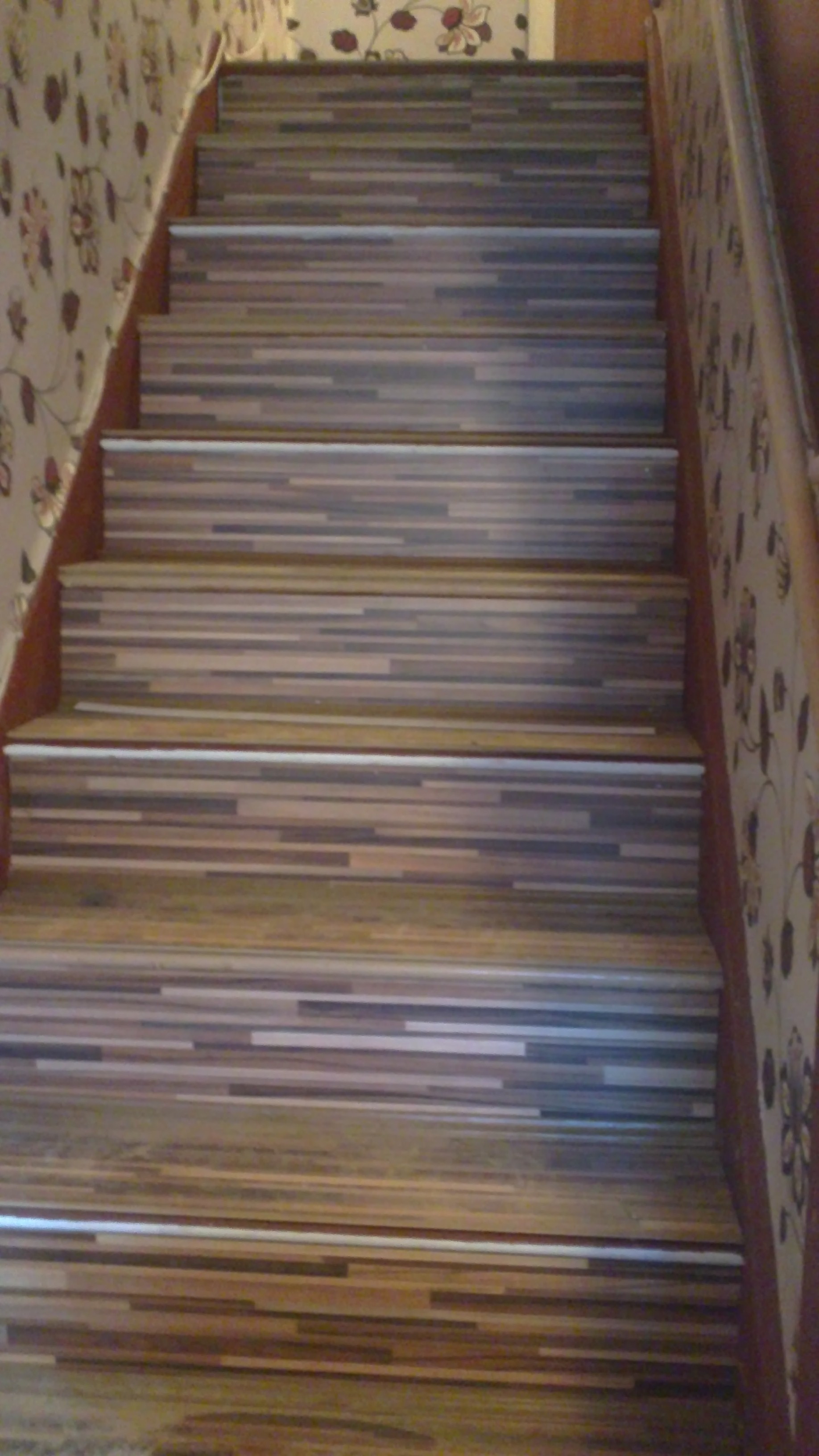 21052011231.JPG